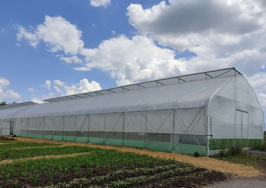 Greenhouse with a straight wall