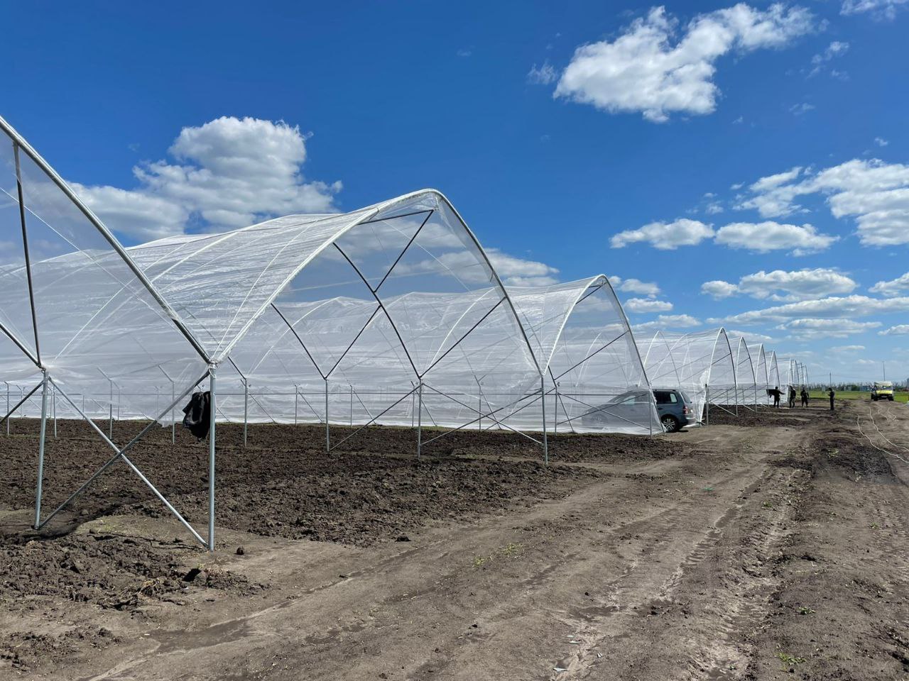 Fruit tree block greenhouse